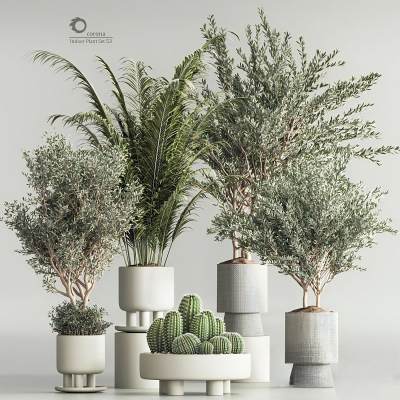 室内植物组-01